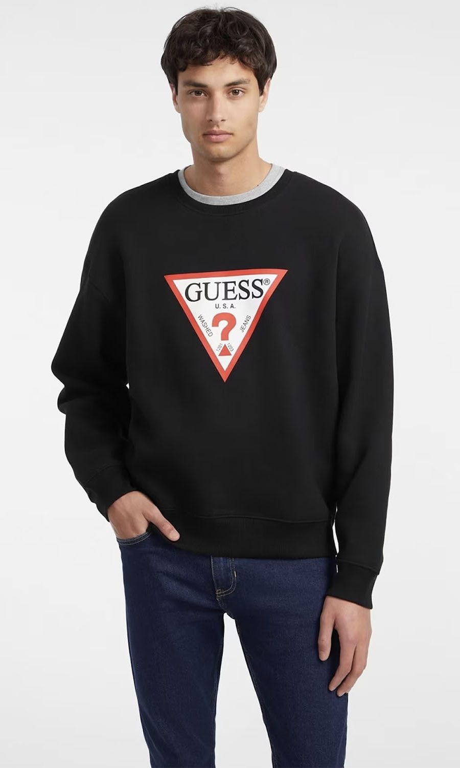 mauroblack hoodie fouter sweater iconic print triangle guess guess eco fall winter 2024